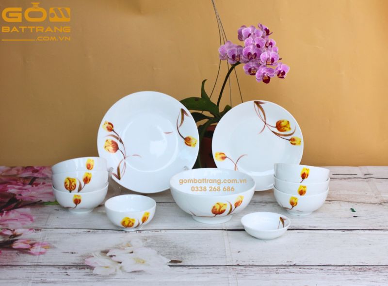 Bộ bát đĩa Giá rẻ