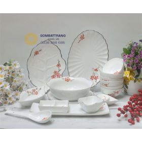 Bộ bát đĩa cao cấp nhập khẩu sang trọng