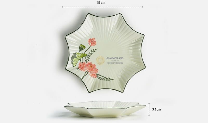 Chiếc đĩa sao có thiết kế độc đáo ấn tượng