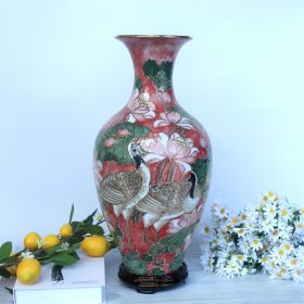 Lục Bình Hút Tài Lộc Giá Rẻ Chất Lượng