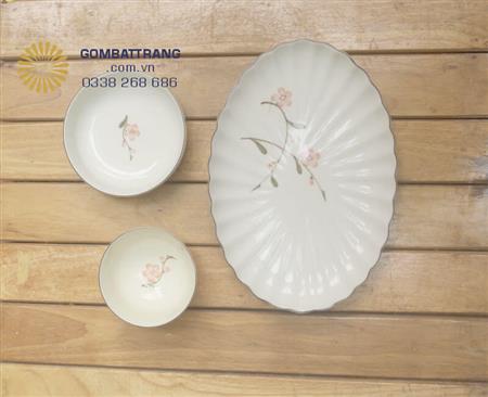 Bộ bát đĩa sứ trắng