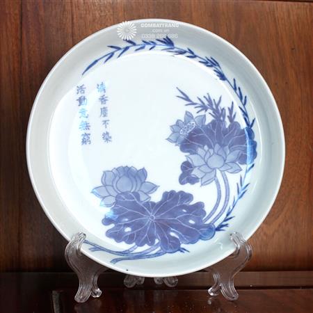 bat-dia-co-xua-sen-doai-ho-re-dep