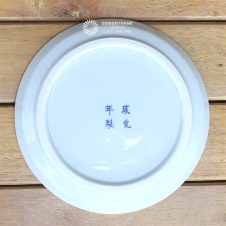dia-su-men-lam-co-ngu-tieu-canh-doc-re-dep-2