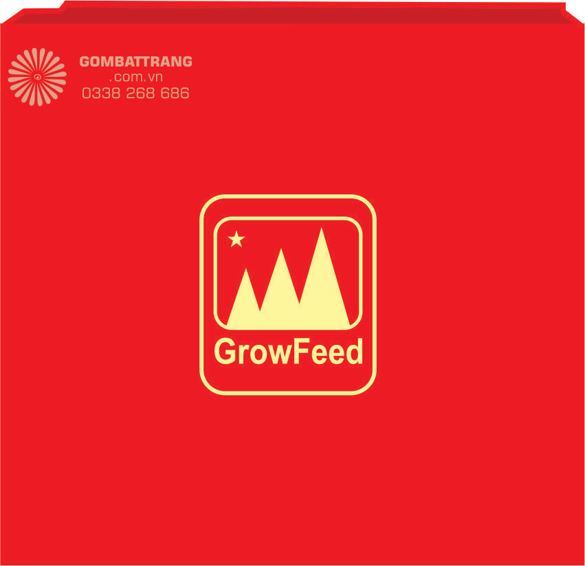 Hộp đựng quà cao cấp, giấy xi lót lụa , lắp hộp in logo theo yêu cầu, sang trọng, lịch sự